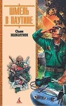 Обложка книги "Шмель в паутине"