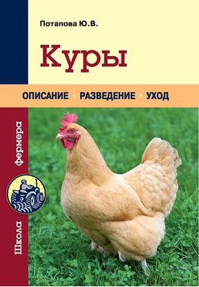 Обложка книги "Куры"