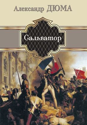 Обложка книги "Сальватор"