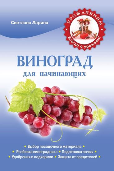 Обложка книги "Виноград для начинающих"