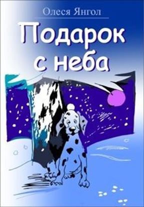 Обложка книги "Подарок с неба"