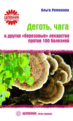 Обложка книги "Деготь, чага и другие «березовые» лекарства против 100 болезней"
