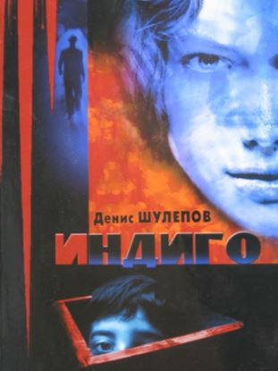 Обложка книги "Индиго"