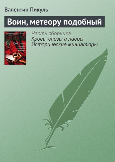 Обложка книги "Воин, метеору подобный"