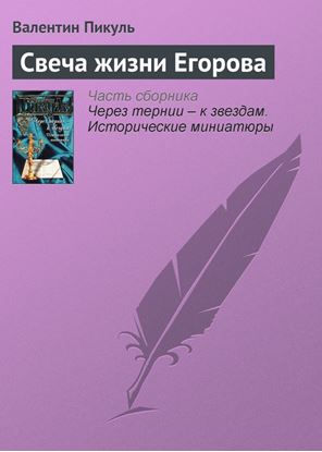 Обложка книги "Свеча жизни Егорова"
