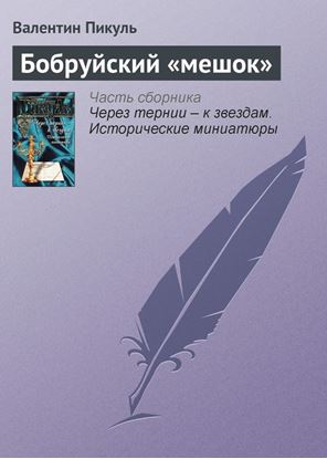 Обложка книги "Бобруйский «мешок»"