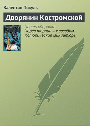 Обложка книги "Дворянин Костромской"
