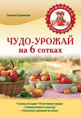 Обложка книги "Чудо-урожай на 6 сотках"