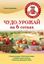Обложка книги "Чудо-урожай на 6 сотках"