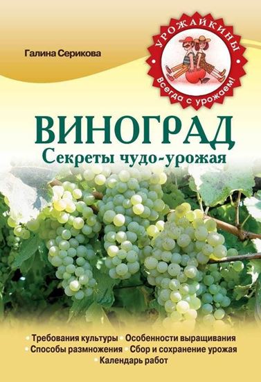 Обложка книги "Виноград. Секреты чудо-урожая"