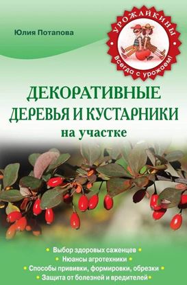 Обложка книги "Декоративные деревья и кустарники на участке"