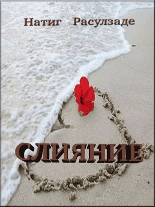 Обложка книги "Слияние"