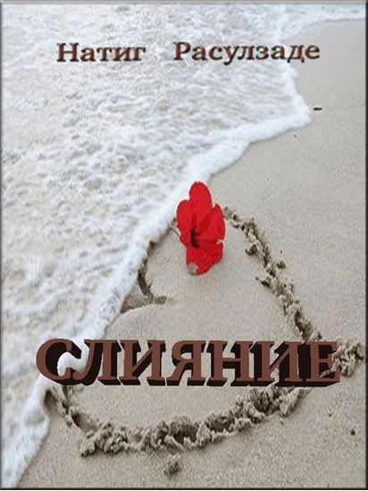 Обложка книги "Слияние"
