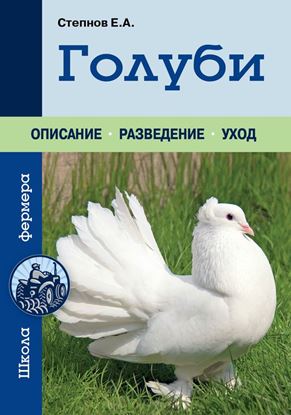 Обложка книги "Голуби"