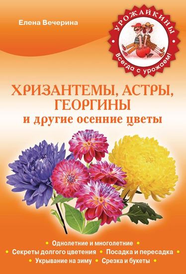 Обложка книги "Хризантемы, астры, георгины и другие осенние цветы"