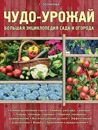 Обложка книги "Чудо-урожай. Большая энциклопедия сада и огорода"
