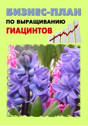Обложка книги "Бизнес-план по выращиванию гиацинтов"
