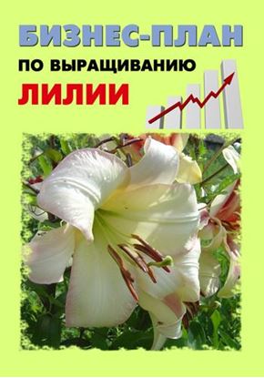 Обложка книги "Бизнес-план по выращиванию лилии"