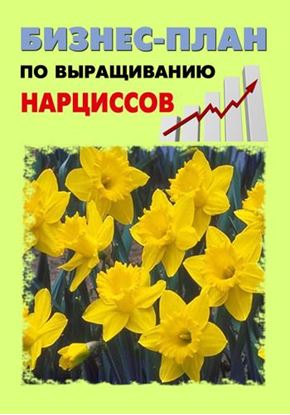 Обложка книги "Бизнес-план по выращиванию нарциссов"