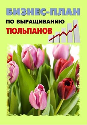 Обложка книги "Бизнес-план по выращиванию тюльпанов"