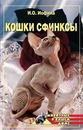 Обложка книги "Кошки – сфинксы"