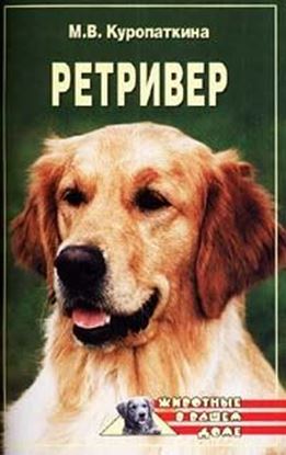 Обложка книги "Ретриверы"