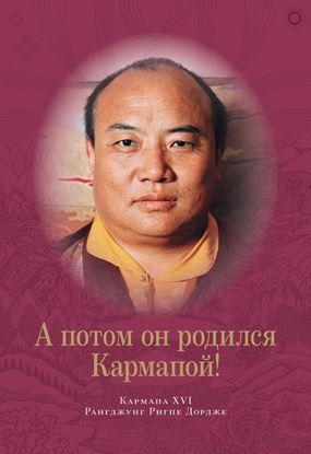 Обложка книги "А потом он родился Кармапой!"
