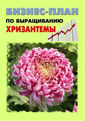 Обложка книги "Бизнес-план по выращиванию хризантемы"