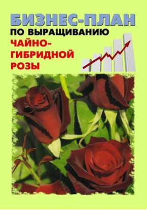Обложка книги "Бизнес-план по выращиванию чайно-гибридной розы"