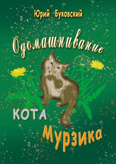 Обложка книги "Одомашнивание кота Мурзика"