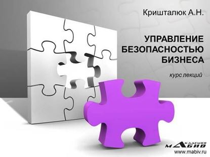 Обложка книги "Управление безопасностью бизнеса"