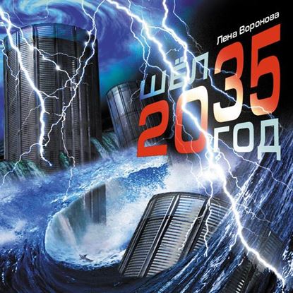 Обложка книги "Шёл 2035 год"