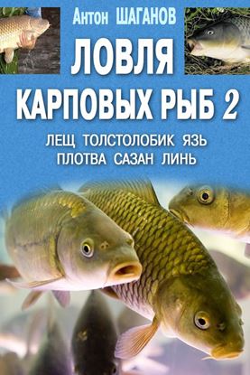 Обложка книги "Ловля карповых рыб – 2"