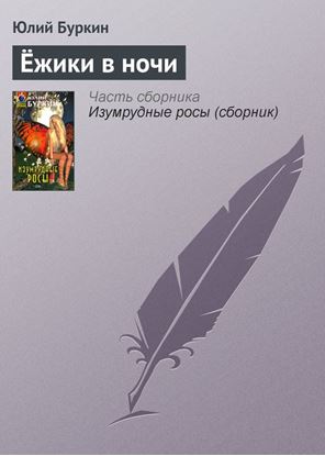 Обложка книги "Ёжики в ночи"