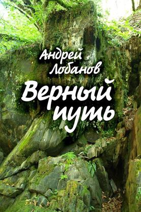 Обложка книги "Верный путь"