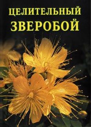 Обложка книги "Целительный зверобой"