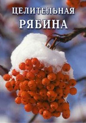 Обложка книги "Целительная рябина"