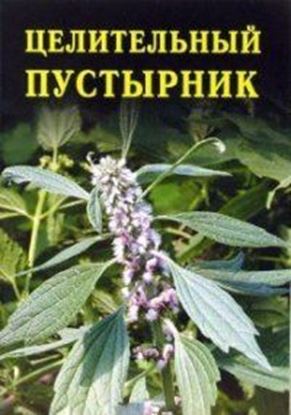 Обложка книги "Целительный пустырник"