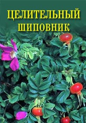 Обложка книги "Целительный шиповник"