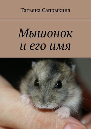 Обложка книги "Мышонок и его имя"