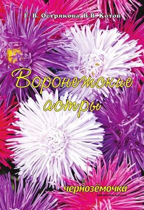 Обложка книги "Воронежские астры"