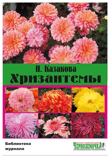 Обложка книги "Хризантемы"