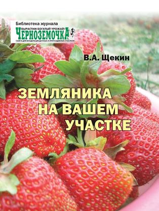 Обложка книги "Земляника на вашем участке"