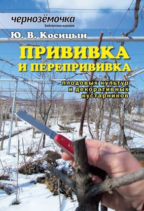 Обложка книги "Прививка и перепрививка плодовых культур и декоративных кустарников"