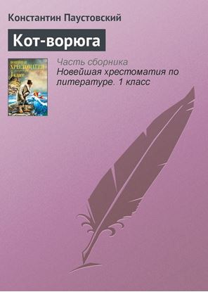 Обложка книги "Кот-ворюга"