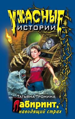 Обложка книги "Лабиринт, наводящий страх"