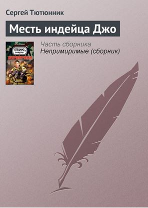 Обложка книги "Месть индейца Джо"