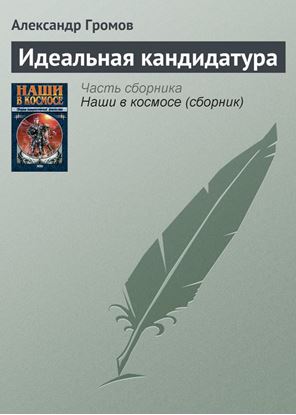 Обложка книги "Идеальная кандидатура"