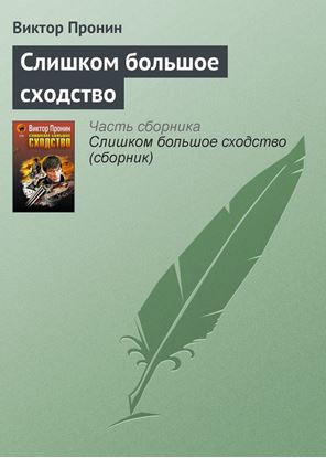 Обложка книги "Слишком большое сходство"