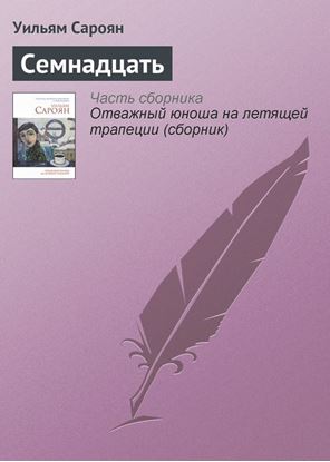Обложка книги "Семнадцать"
